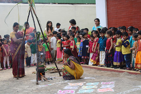 Gallery Images