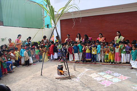 Gallery Images
