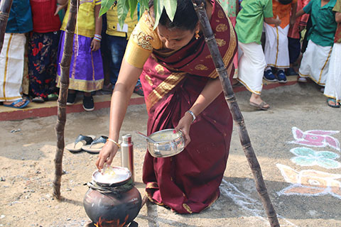 Gallery Images